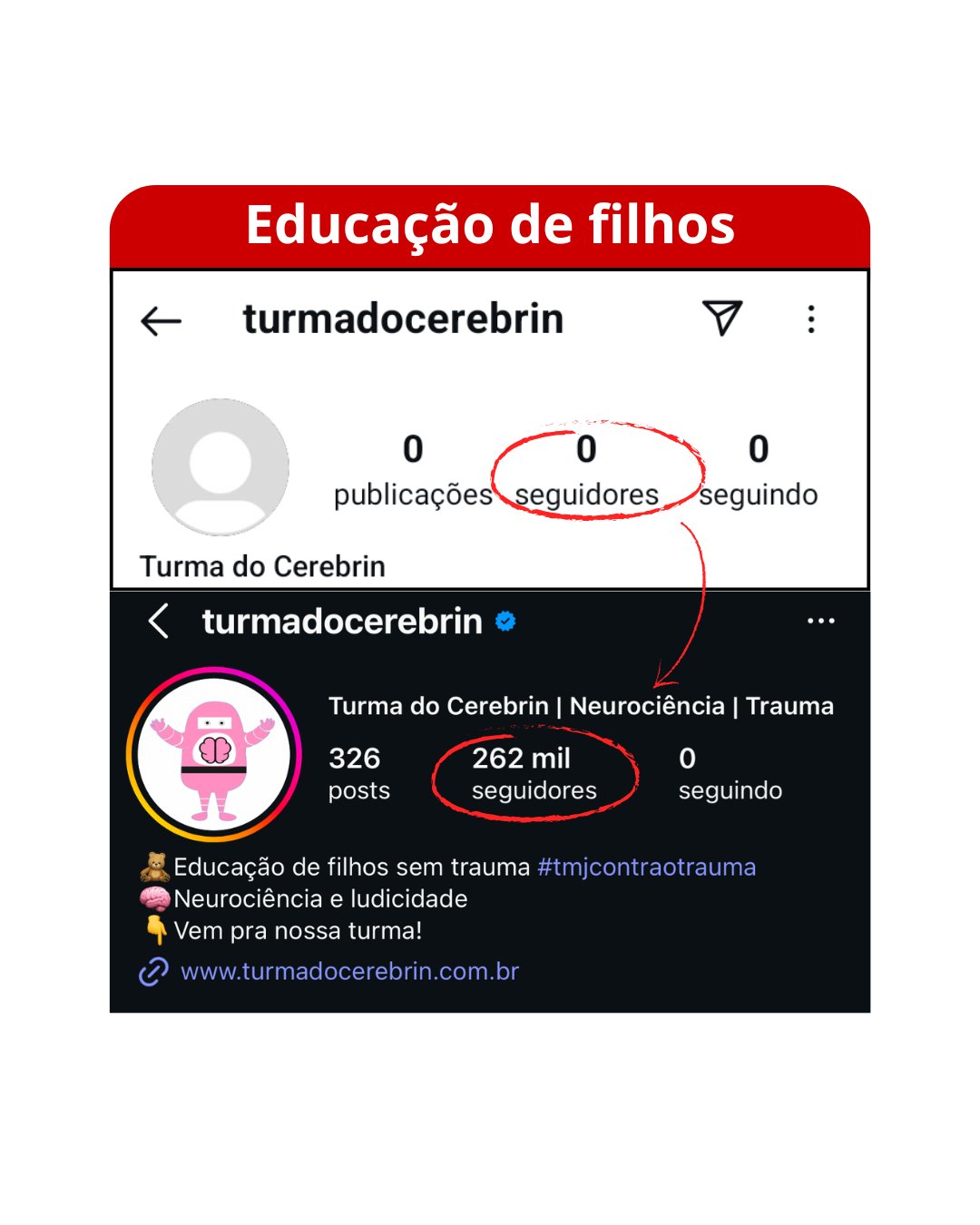 Educacao de filhos - 0 para 262 mil seguidores